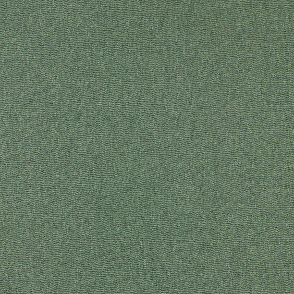 Orla fabric in herb color - pattern F1572/09.CAC.0 - by Clarke And Clarke in the Orla By Studio G For C&amp;C collection