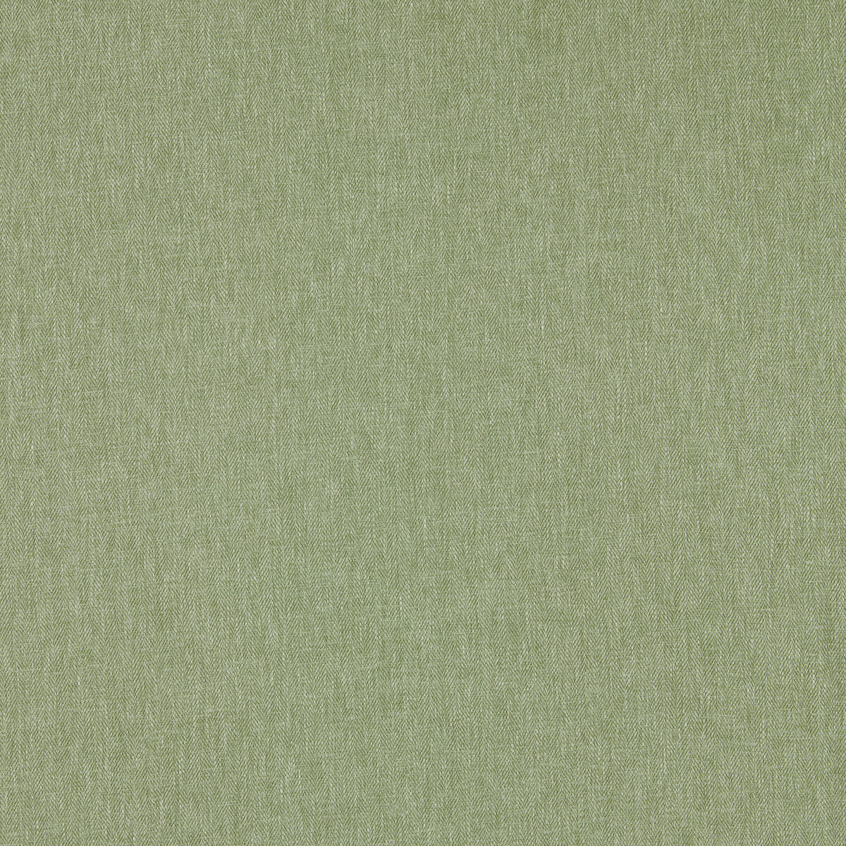 Orla fabric in sage color - pattern F1572/20.CAC.0 - by Clarke And Clarke in the Orla By Studio G For C&amp;C collection