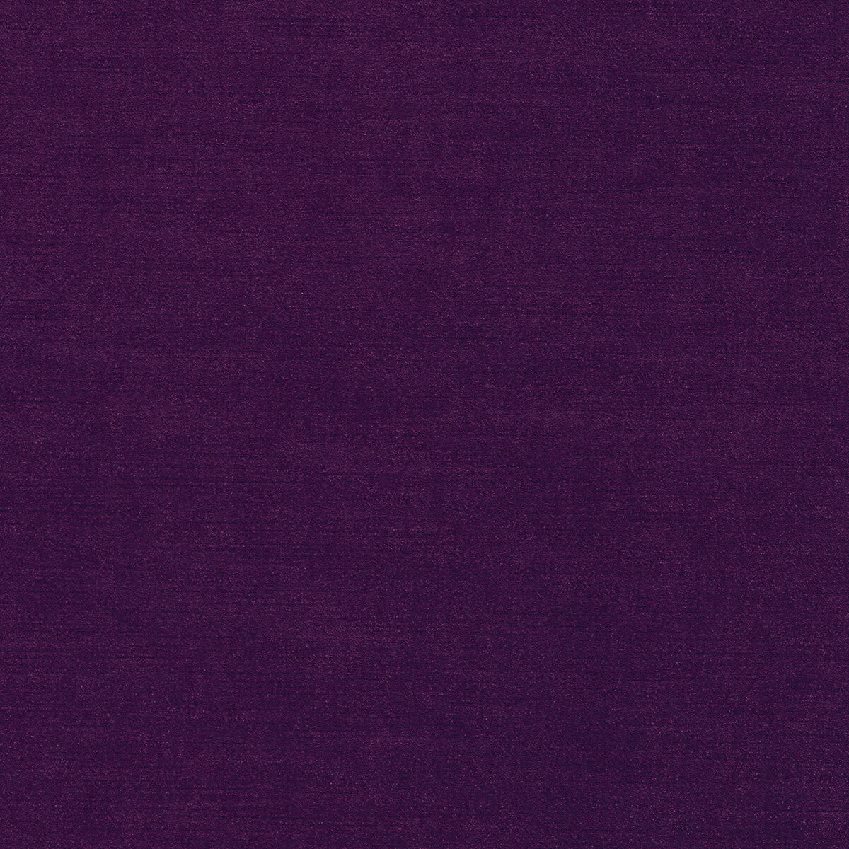 Riva fabric in damson color - pattern F1583/09.CAC.0 - by Clarke And Clarke in the Clarke &amp; Clarke Riva collection