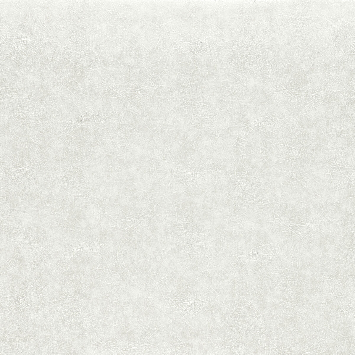 Dawson fabric in pearl color - pattern F1598/13.CAC.0 - by Clarke And Clarke in the Clarke &amp; Clarke Dawson collection