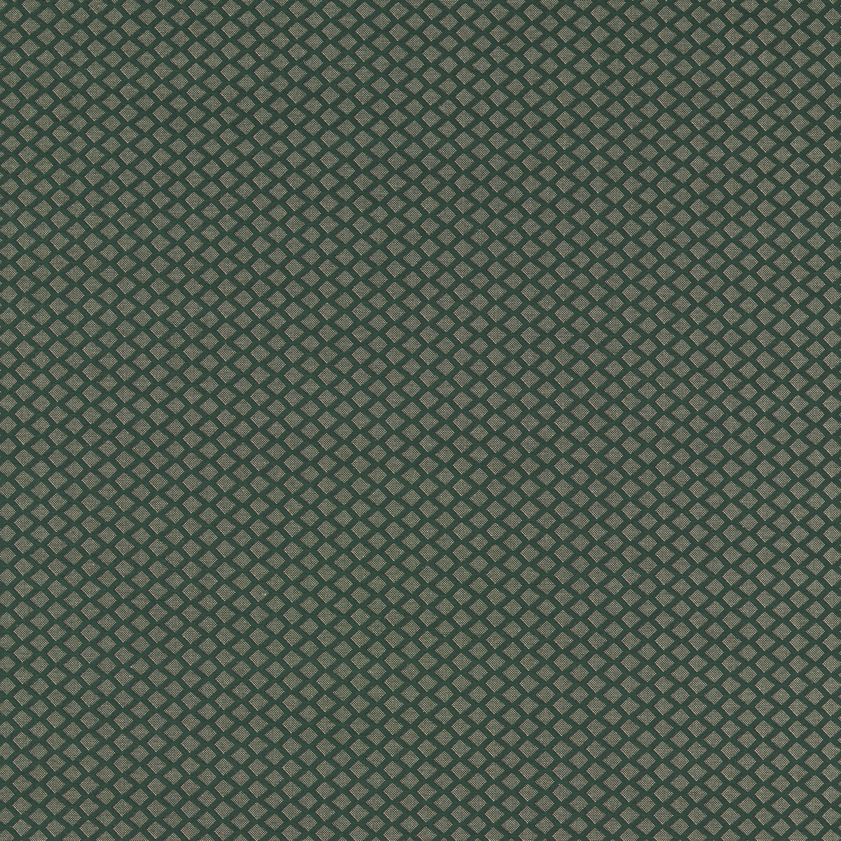 Equator fabric in forest color - pattern F1618/01.CAC.0 - by Clarke And Clarke in the Clarke And Clarke Equinox 2 collection