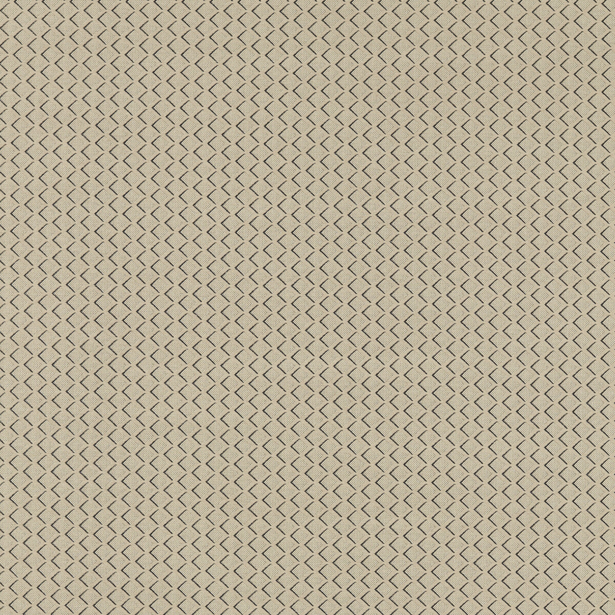 Equator fabric in natural color - pattern F1618/03.CAC.0 - by Clarke And Clarke in the Clarke And Clarke Equinox 2 collection