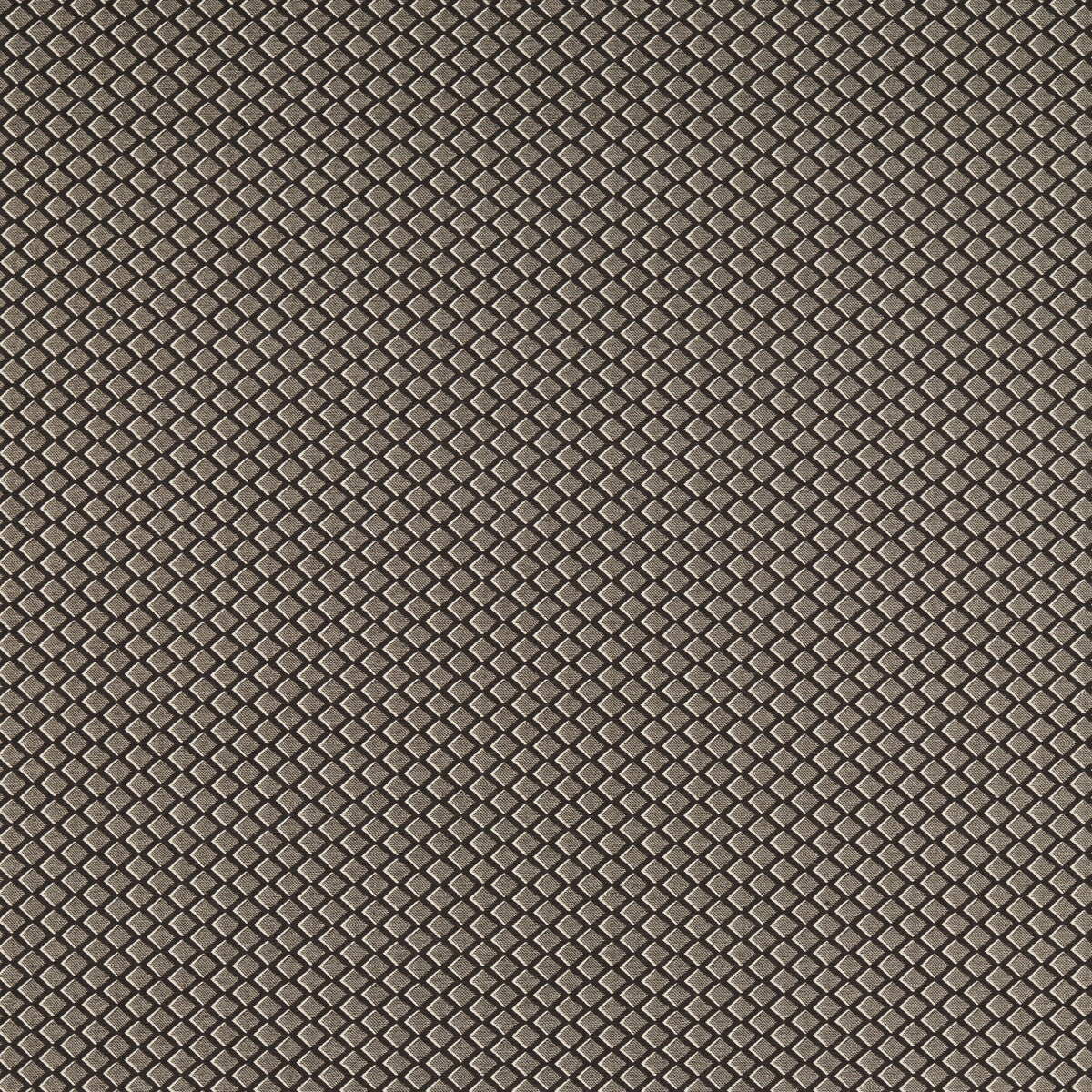 Equator fabric in noir color - pattern F1618/04.CAC.0 - by Clarke And Clarke in the Clarke And Clarke Equinox 2 collection