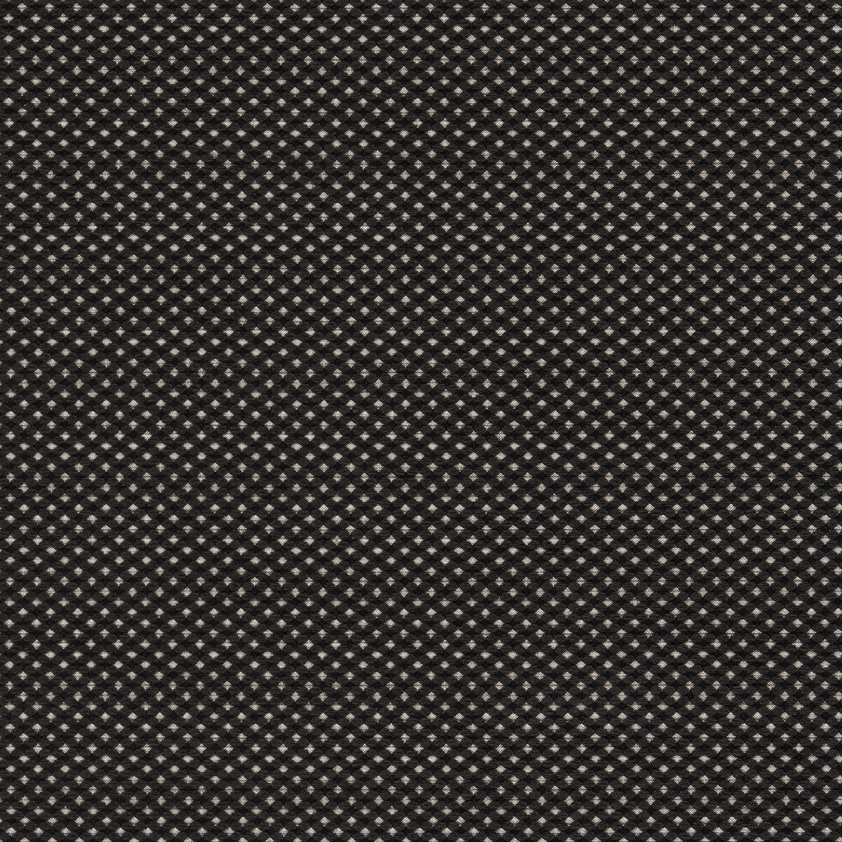 Pavo fabric in noir color - pattern F1620/06.CAC.0 - by Clarke And Clarke in the Clarke And Clarke Equinox 2 collection