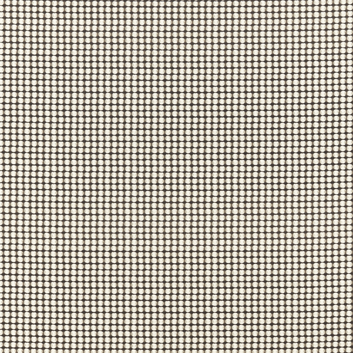 Olympia fabric in charcoal color - pattern F1638/02.CAC.0 - by Clarke And Clarke in the Formations By Studio G For C&amp;C collection