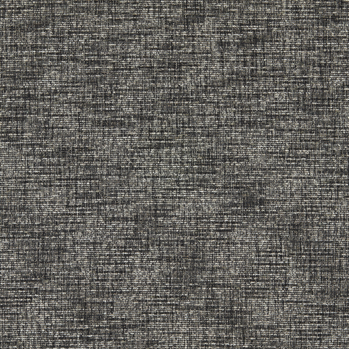 Cetara fabric in charcoal color - pattern F1642/03.CAC.0 - by Clarke And Clarke in the Cetara collection