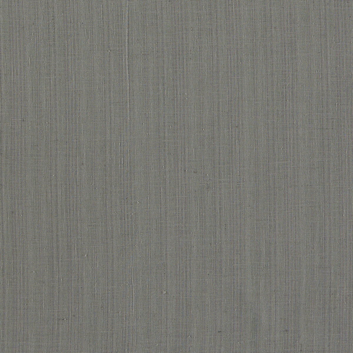 Remo fabric in charcoal color - pattern F1665/02.CAC.0 - by Clarke And Clarke in the Clarke &amp; Clarke Levanto collection