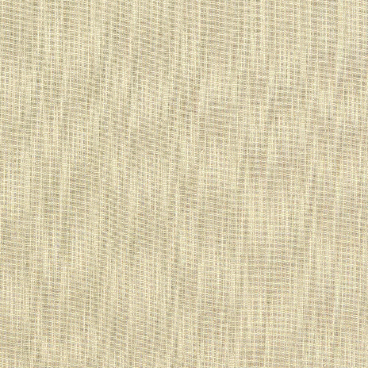 Remo fabric in raffia color - pattern F1665/10.CAC.0 - by Clarke And Clarke in the Clarke &amp; Clarke Levanto collection