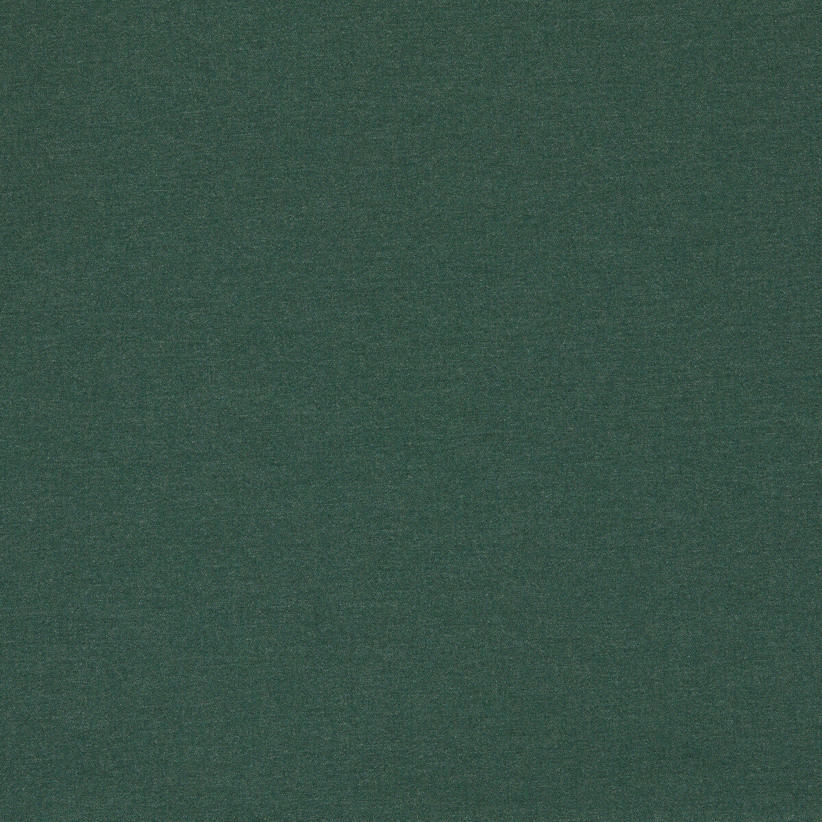 Lugo fabric in forest color - pattern F1669/02.CAC.0 - by Clarke And Clarke in the Clarke &amp; Clarke Alfresco collection