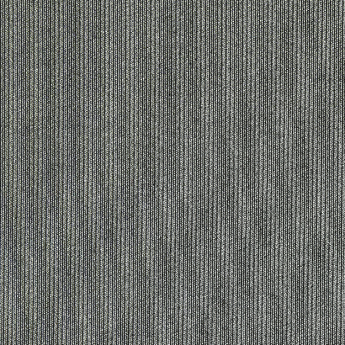 Ashdown fabric in ebony color - pattern F1688/03.CAC.0 - by Clarke And Clarke in the Whitworth collection