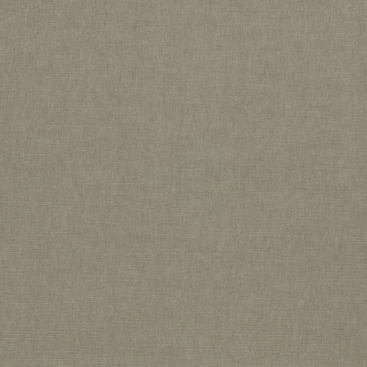 Paradiso fabric in ash color - pattern number F1707/01.CAC.0 - by Clarke And Clarke in the Paradiso collection