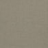 Paradiso fabric in ash color - pattern number F1707/01.CAC.0 - by Clarke And Clarke in the Paradiso collection