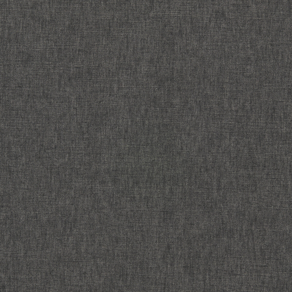 Paradiso fabric in charcoal color - pattern F1707/06.CAC.0 - by Clarke And Clarke in the Breegan Jane Fabrics collection