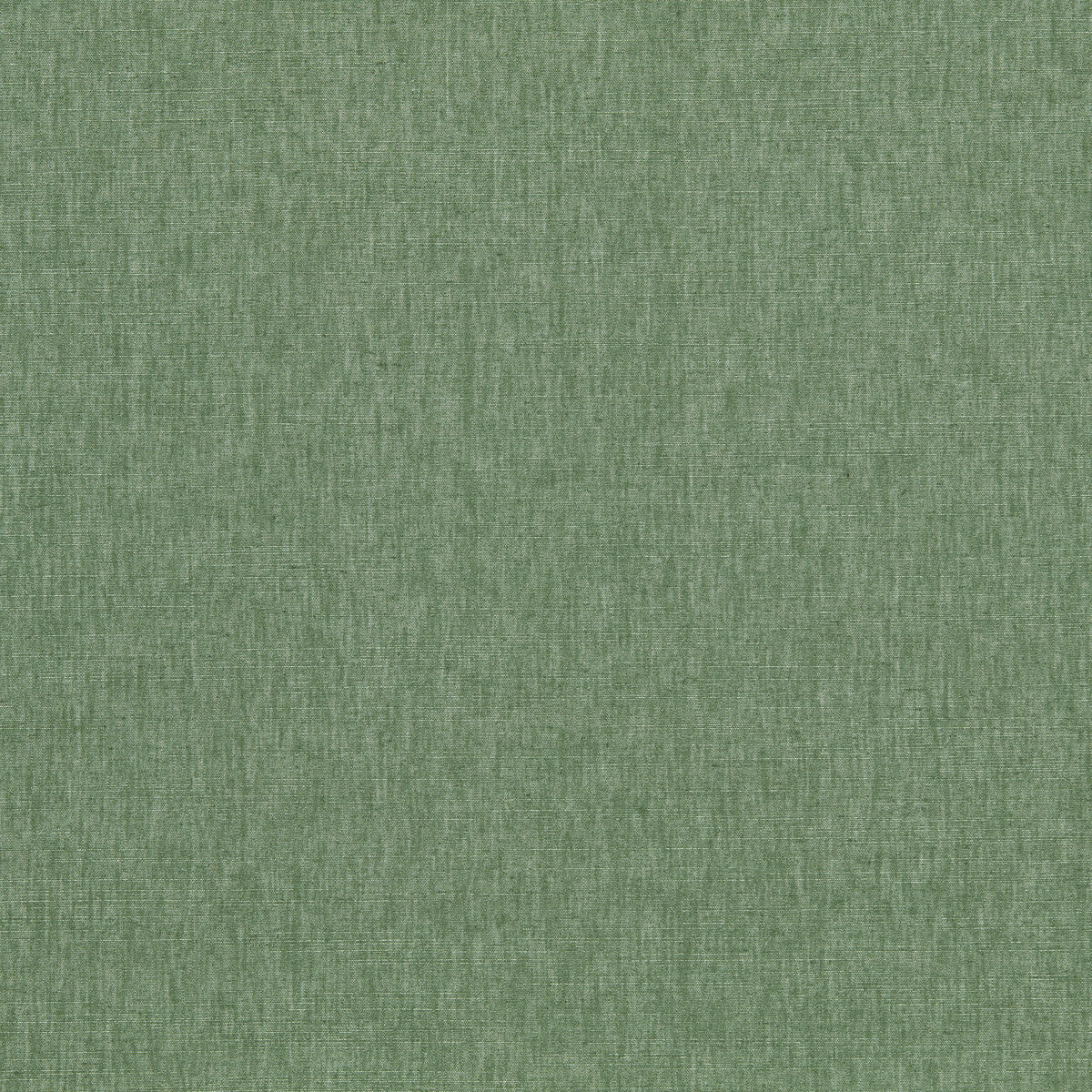 Paradiso fabric in sage color - pattern number F1707/22.CAC.0 - by Clarke And Clarke in the Paradiso collection