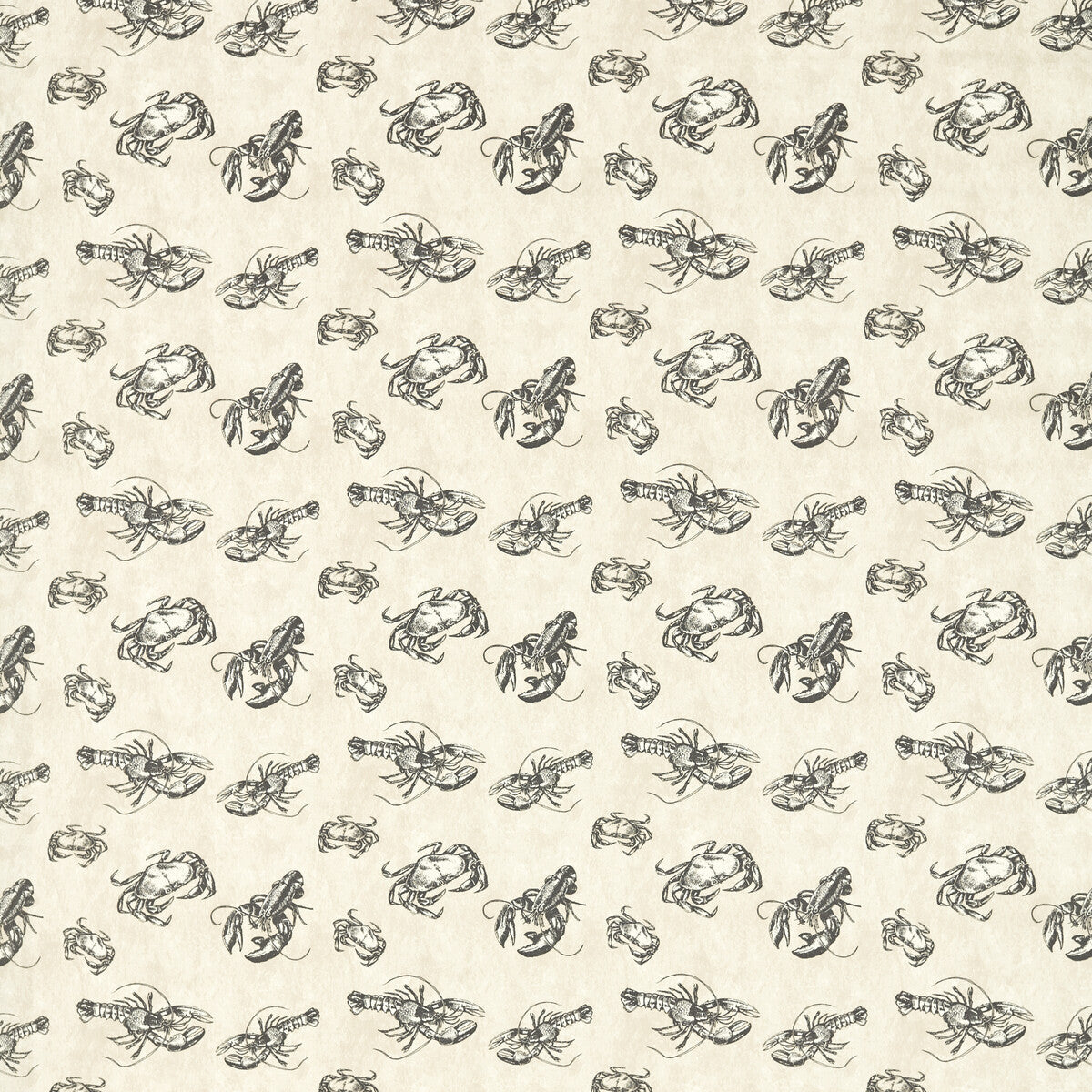Shellfish fabric in charcoal color - pattern number F1731/01.CAC.0 - by Clarke And Clarke in the Clarke &amp; Clarke Marina collection