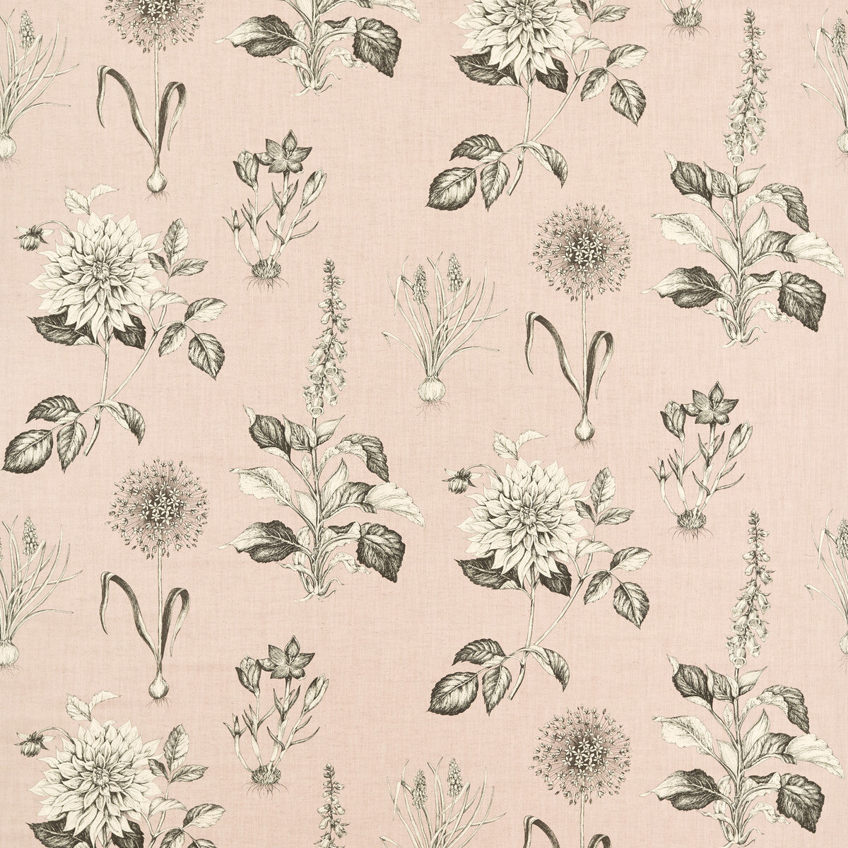 Roseraie fabric in blush color - pattern number F1738/01.CAC.0 - by Clarke And Clarke in the Clarke &amp; Clarke Secret Garden collection