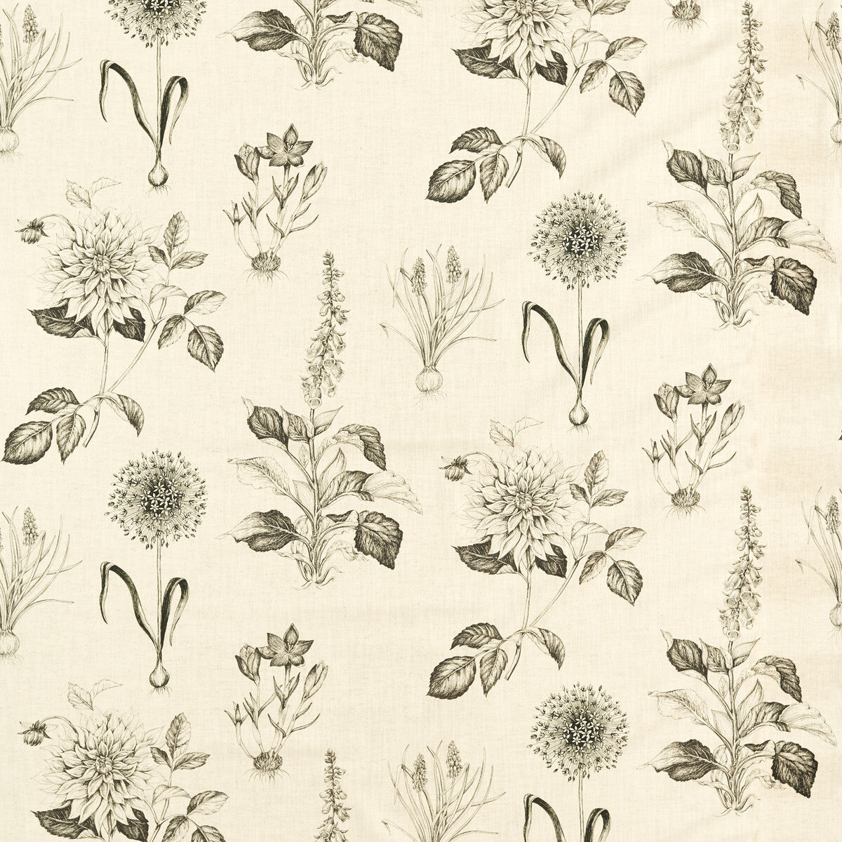 Roseraie fabric in charcoal color - pattern number F1738/02.CAC.0 - by Clarke And Clarke in the Clarke &amp; Clarke Secret Garden collection