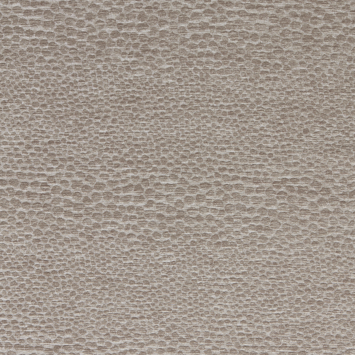 Castus fabric in Mink color - pattern number F1788/08.CAC.0 - by Clarke And Clarke in the Aqueous Performance Weaves collection