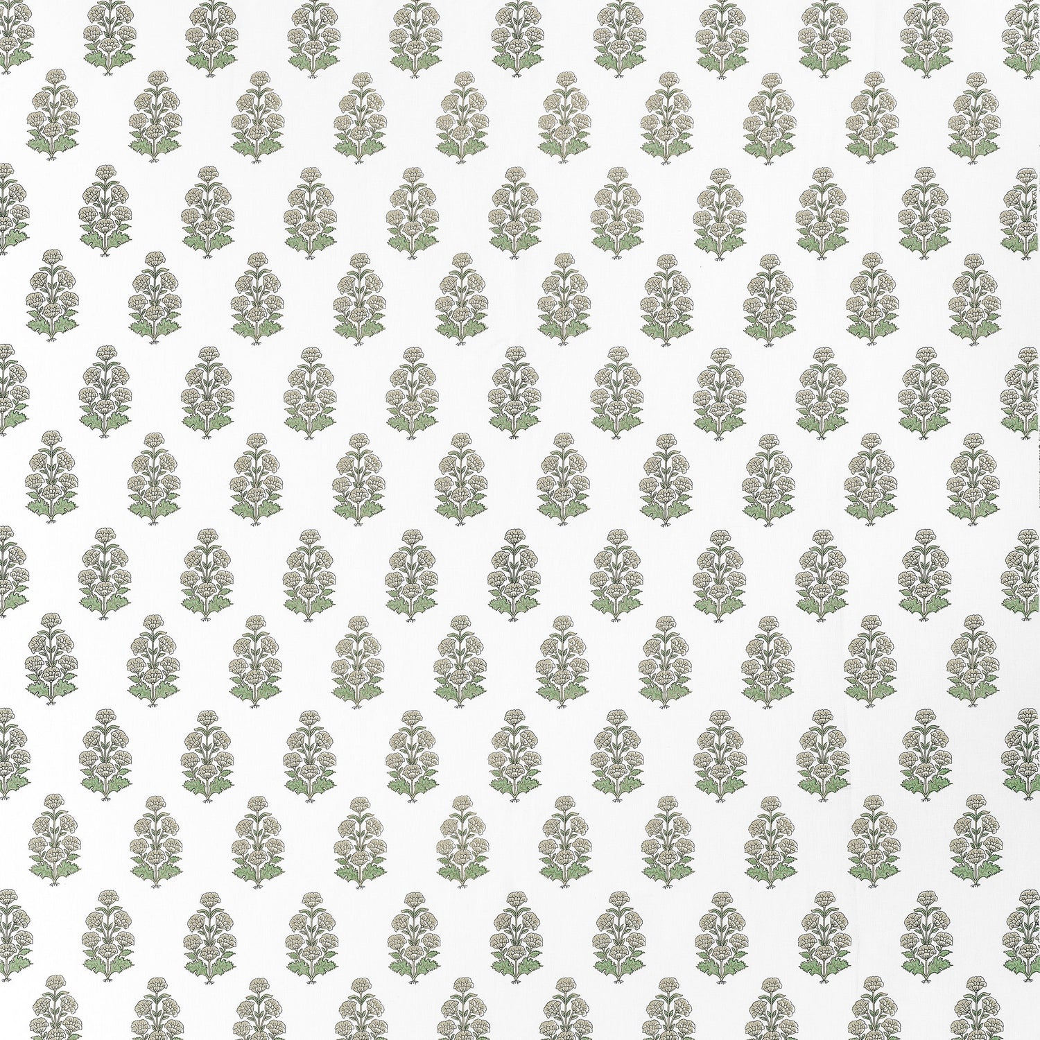 Audrey fabric in beige color - pattern number F910522 - by Thibaut in the Boxwood collection