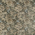 Night Garden fabric in brown color - pattern number F910532 - by Thibaut in the Boxwood collection