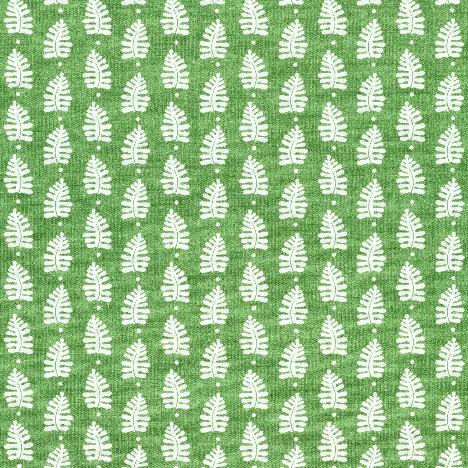 Ferndale fabric in green color - pattern number F910652 - by Thibaut in the Ceylon collection