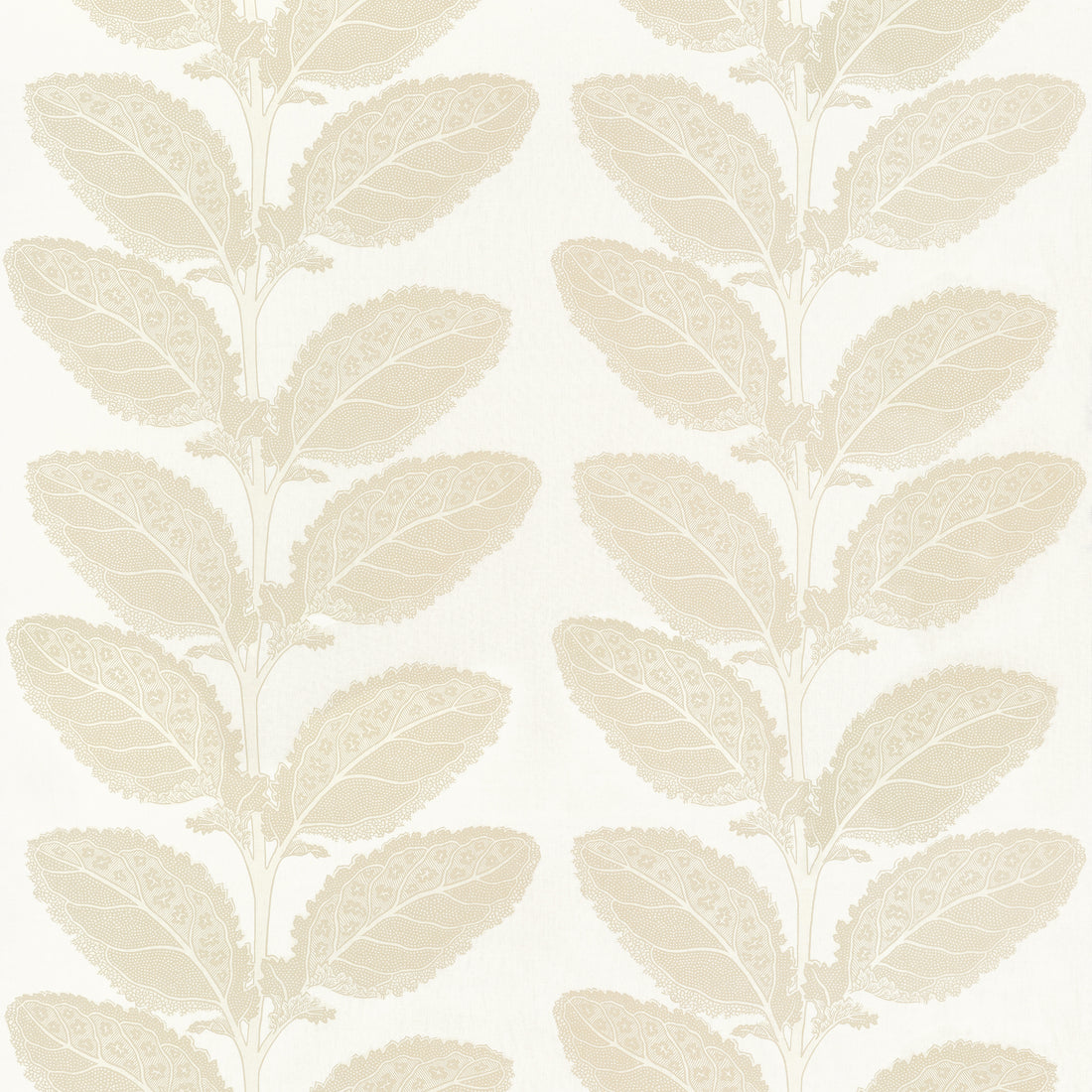 Lacinato fabric in birch color - pattern number F912041 - by Thibaut in the Vista collection