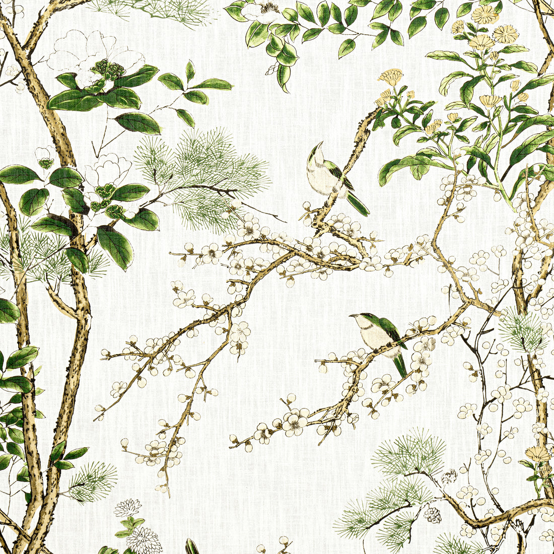 Katsura fabric in green and white - pattern number F913621 - by Thibaut in the Grand Palace collection