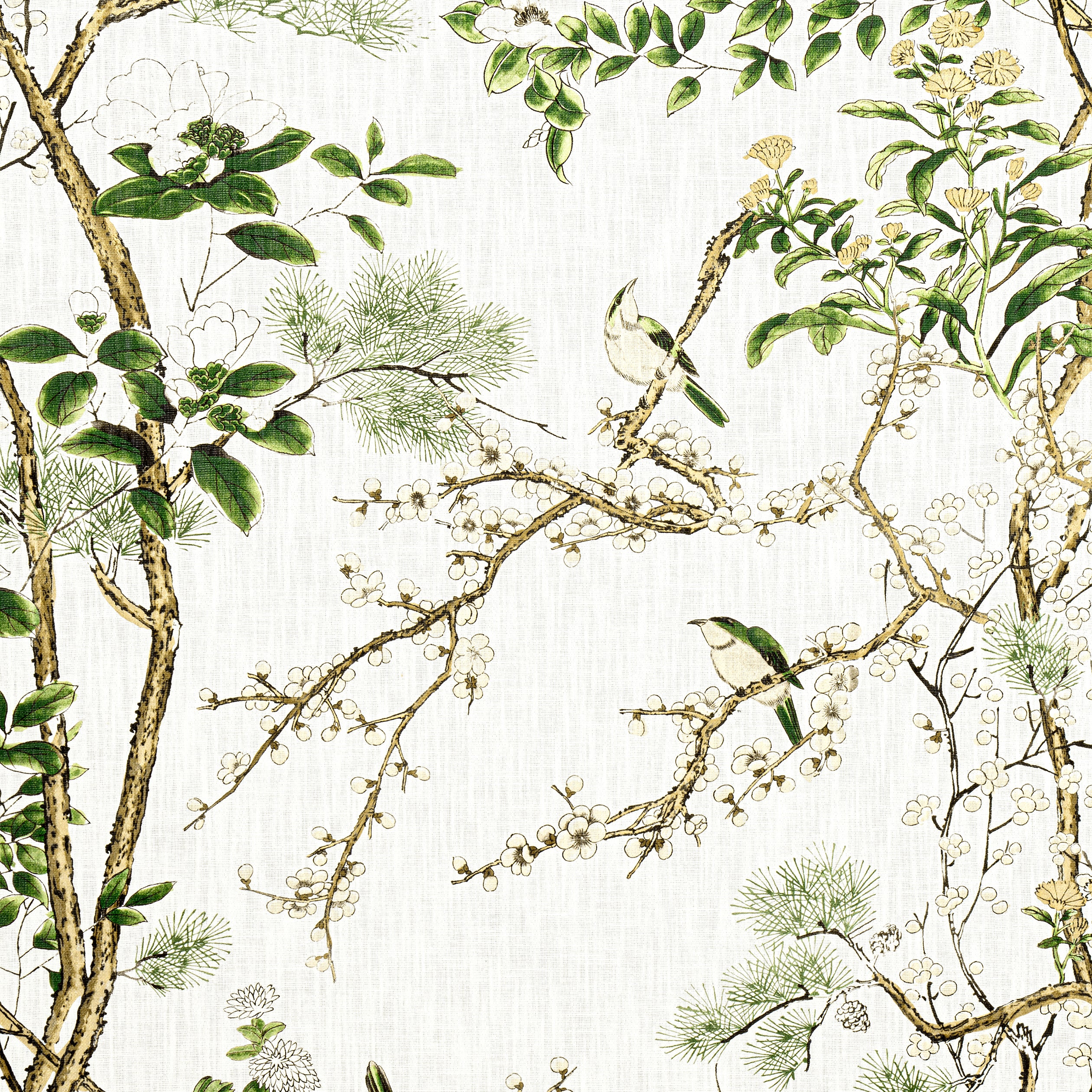 Katsura fabric in green and white - pattern number F913621 - by Thibaut in the Grand Palace collection
