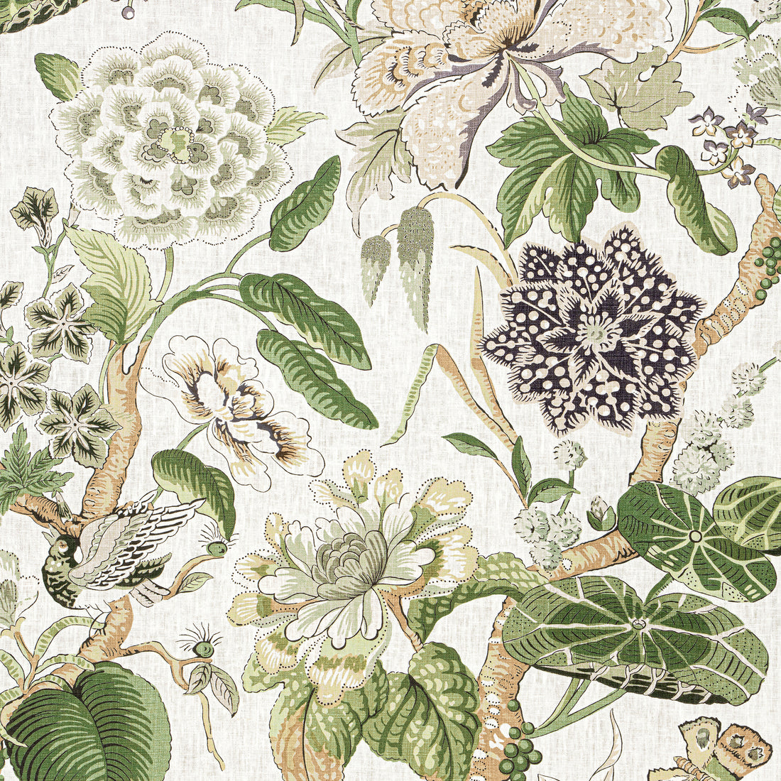 Hill Garden fabric in white and green - pattern number F913656 - by Thibaut in the Grand Palace collection