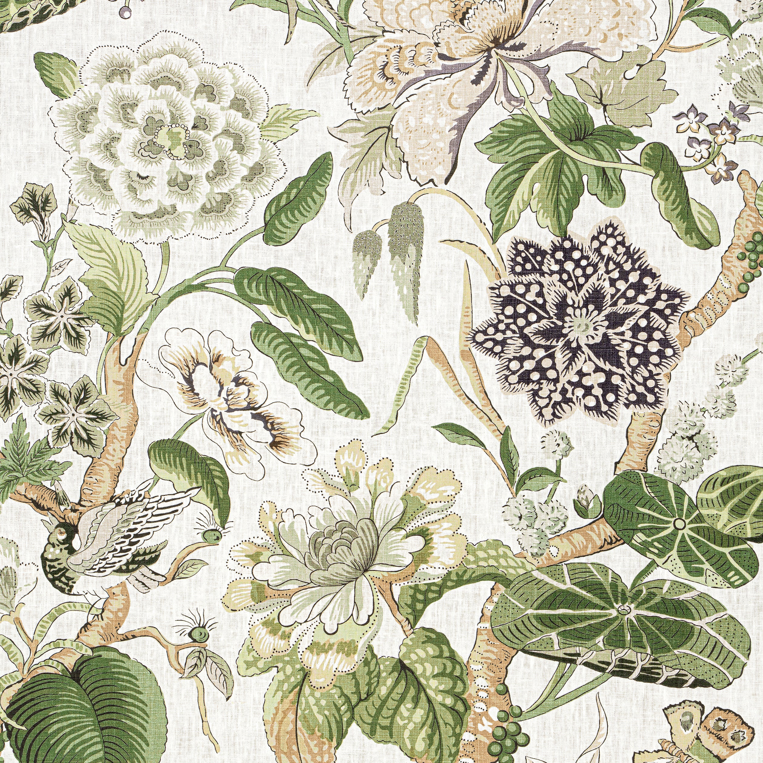 Hill Garden fabric in white and green - pattern number F913656 - by Thibaut in the Grand Palace collection