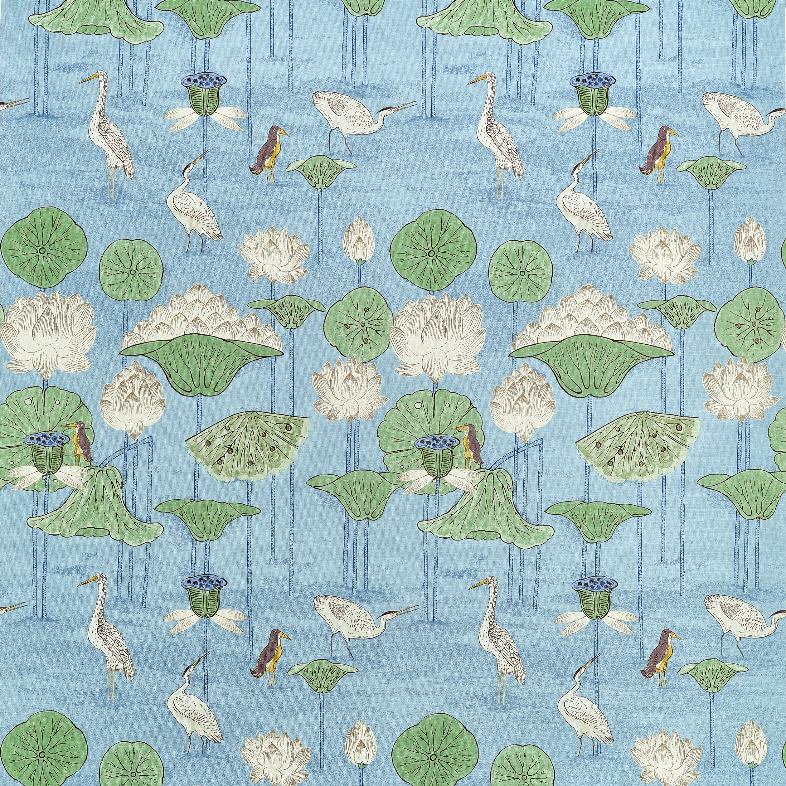 Malea fabric in Sky Blue color - pattern number F914637 - by Thibaut in the Fairhaven collection