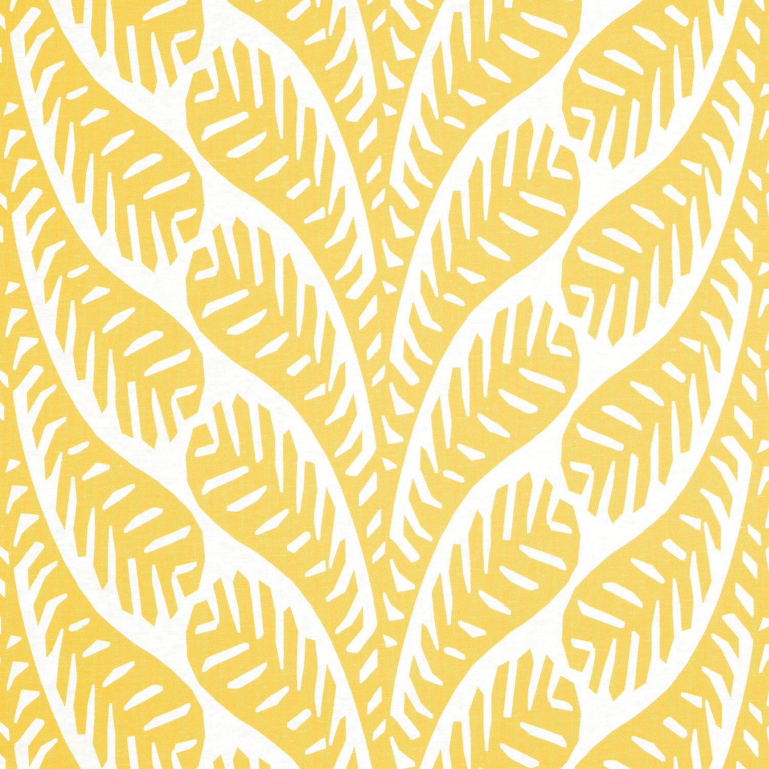 Ginger fabric in yellow color - pattern number F920828 - by Thibaut in the Eden collection