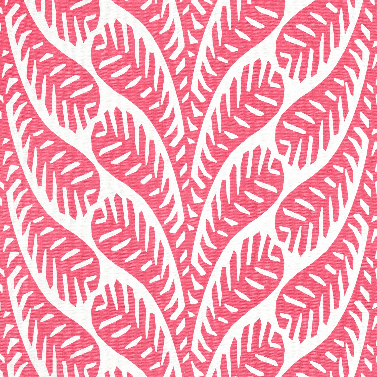 Ginger fabric in pink color - pattern number F920831 - by Thibaut in the Eden collection
