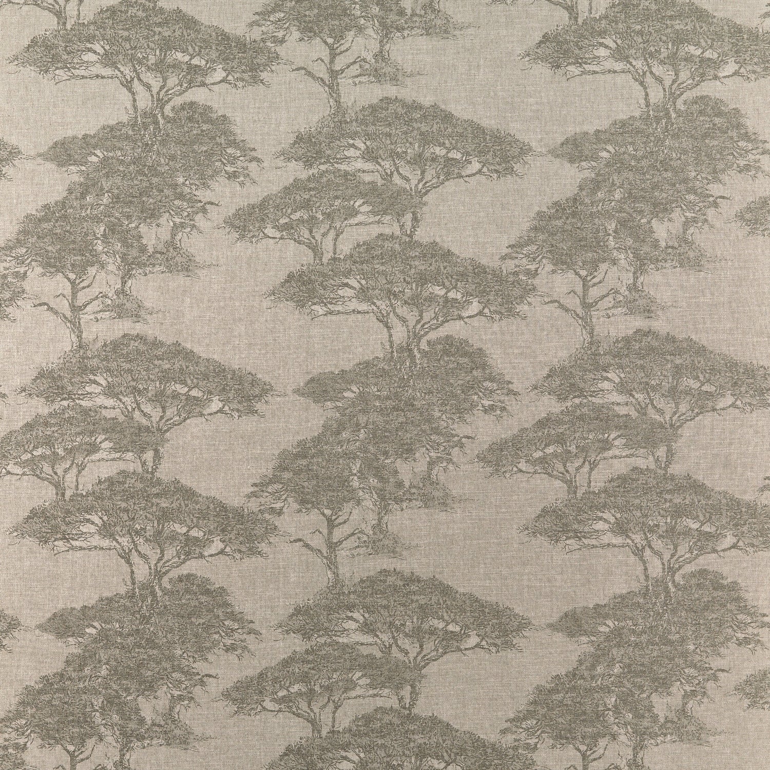 Torrey Pines fabric in beige and black color - pattern number F924435 - by Thibaut in the Yutori collection