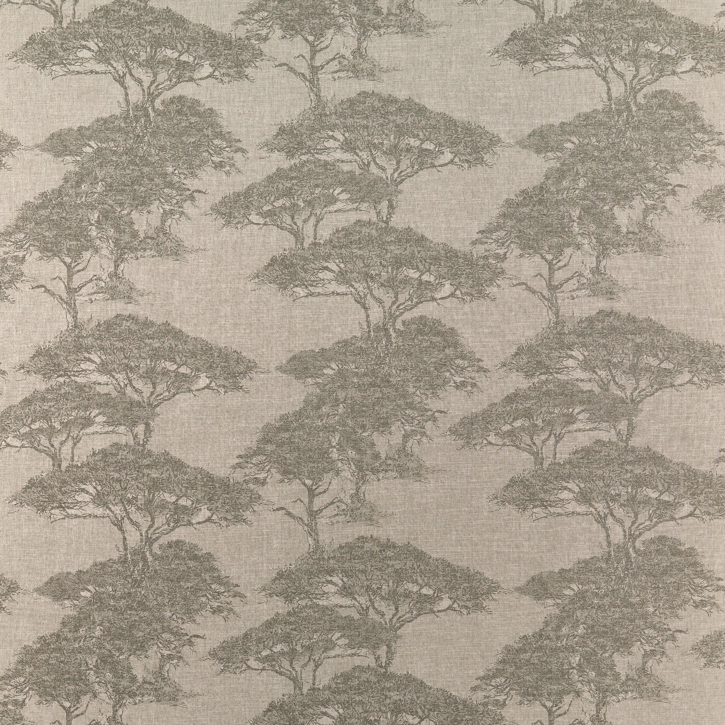 Torrey Pines fabric in beige and black color - pattern number F924435 - by Thibaut in the Yutori collection