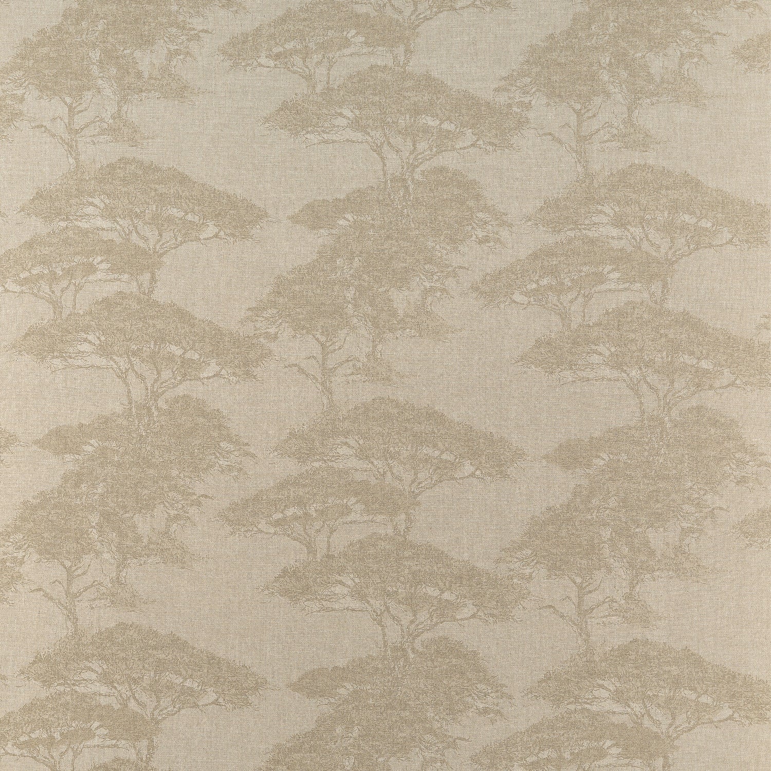 Torrey Pines fabric in champagne color - pattern number F924436 - by Thibaut in the Yutori collection