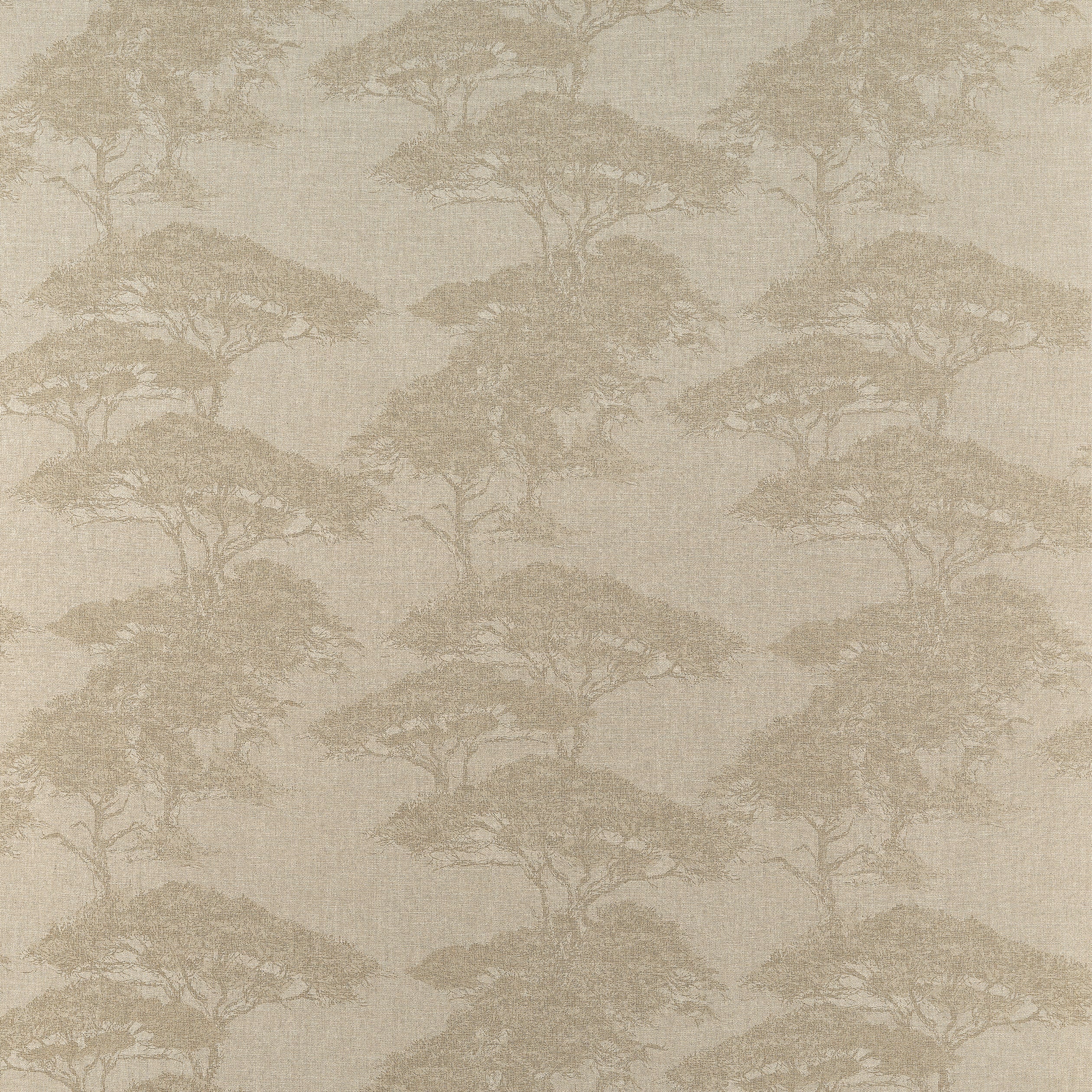 Torrey Pines fabric in champagne color - pattern number F924436 - by Thibaut in the Yutori collection