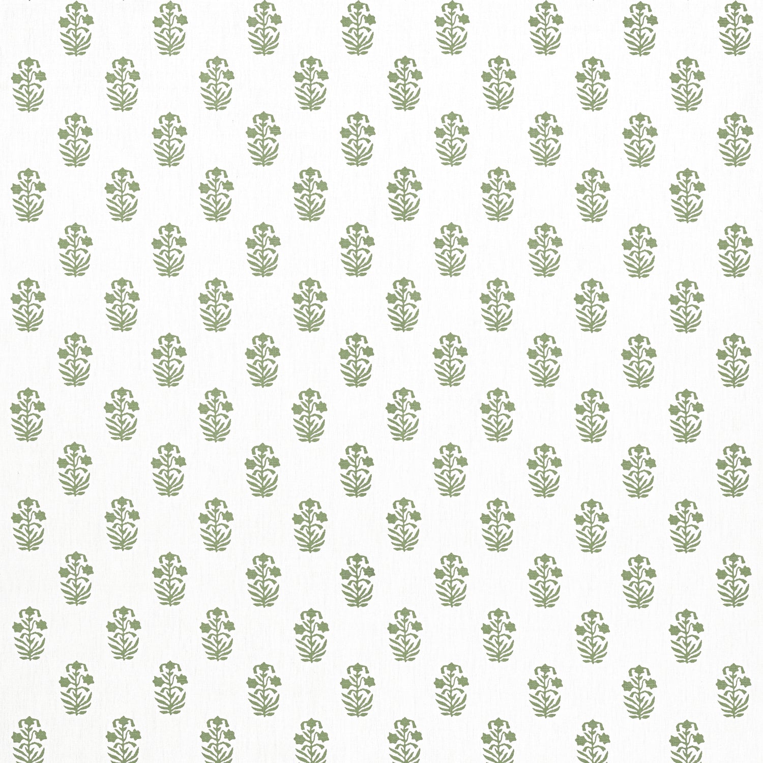 Corwin fabric in green on white color - pattern number F936402 - by Thibaut in the Indienne collection