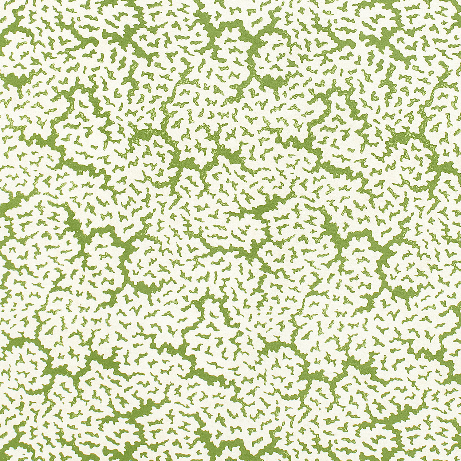 Maldives fabric in green color - pattern number F942041 - by Thibaut in the Sojourn collection