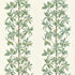 Mangrove Tree fabric in sage color - pattern number F945034 - by Thibaut in the Wanderlust collection