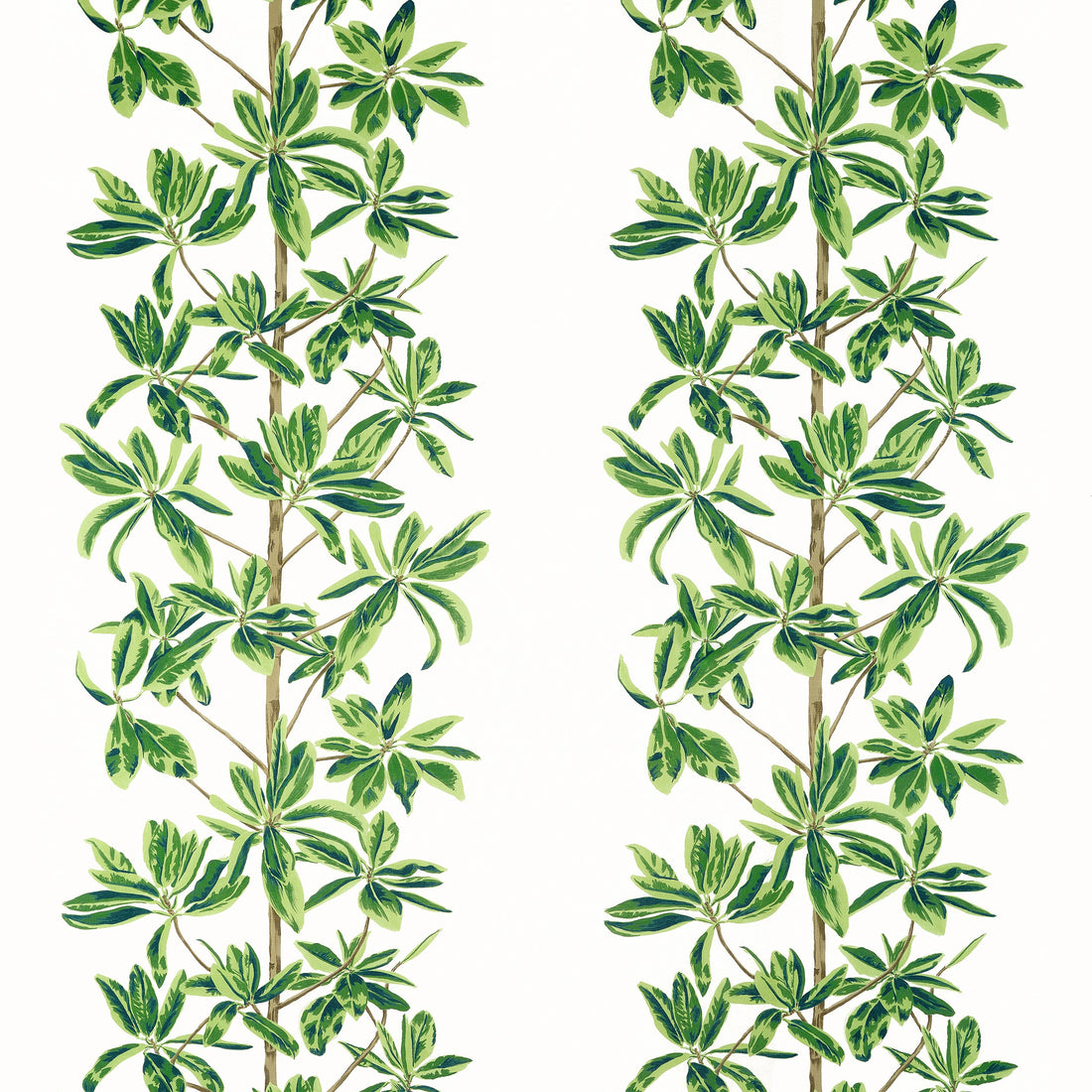 Mangrove Tree fabric in green and white color - pattern number F945035 - by Thibaut in the Wanderlust collection