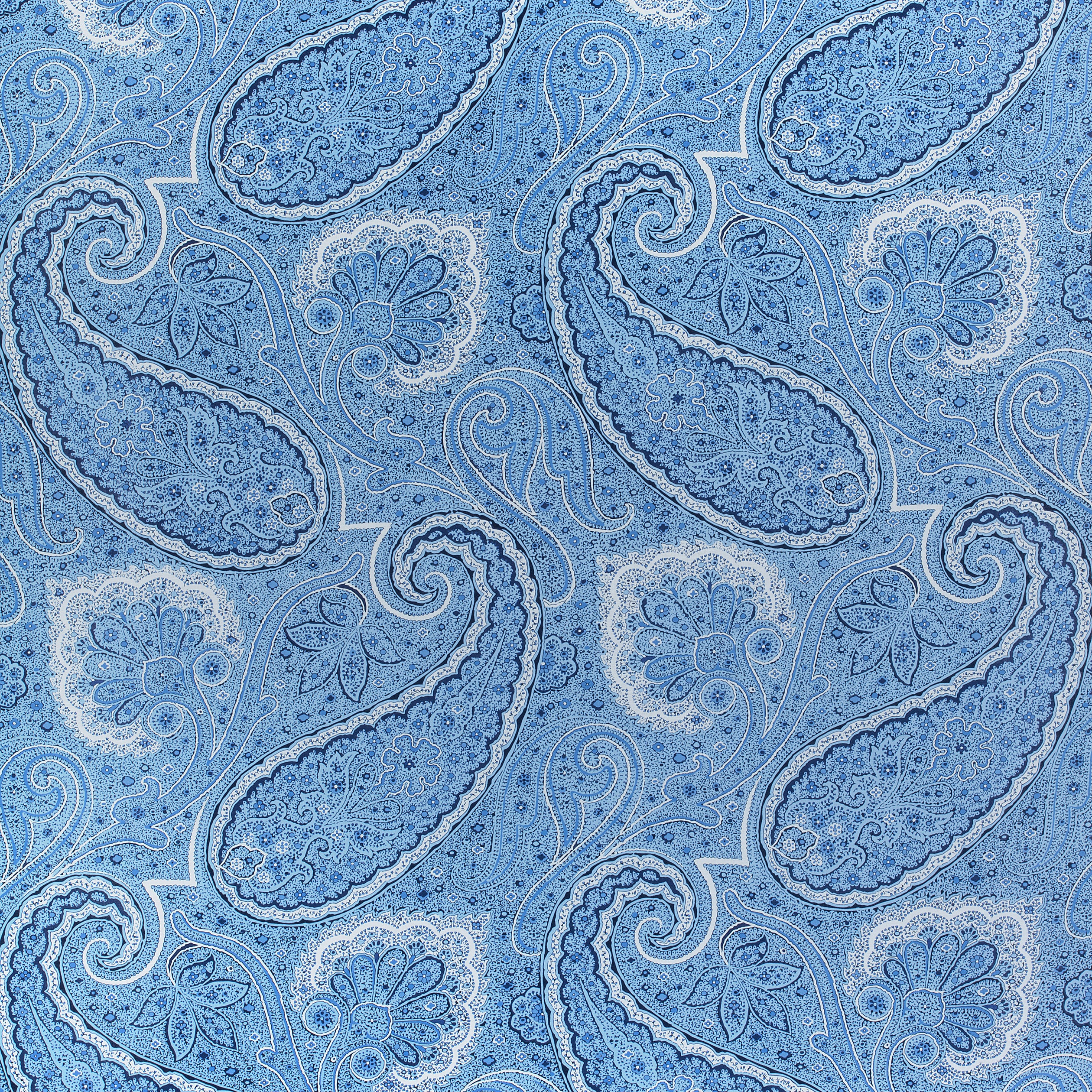 Sherrill Paisley fabric in blue and white color - pattern number F985079 - by Thibaut in the Greenwood collection