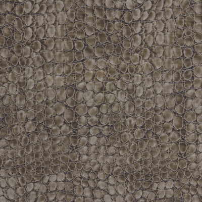 Fab Faux fabric in dove color - pattern FAB FAUX.11.0 - by Kravet Couture