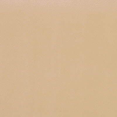 Kravet Design fabric in fawn-16 color - pattern FAWN.16.0 - by Kravet Design