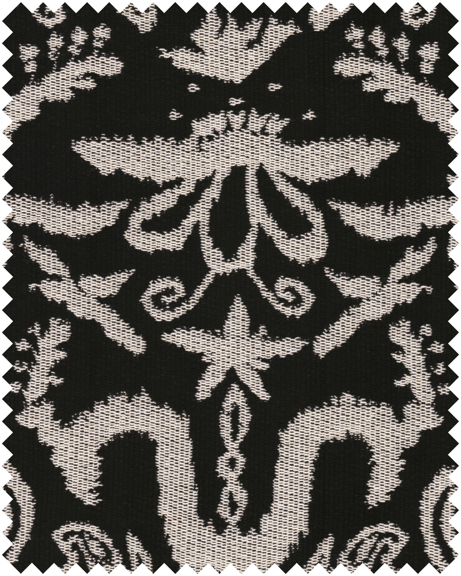 Zenobia fabric in black color - pattern number FB00191 - by Mind The Gap in the Transylvanian Rhapsody collection