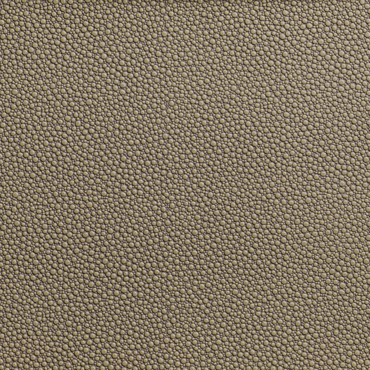 Fetch fabric in hemp color - pattern FETCH.106.0 - by Kravet Contract in the Foundations / Value collection