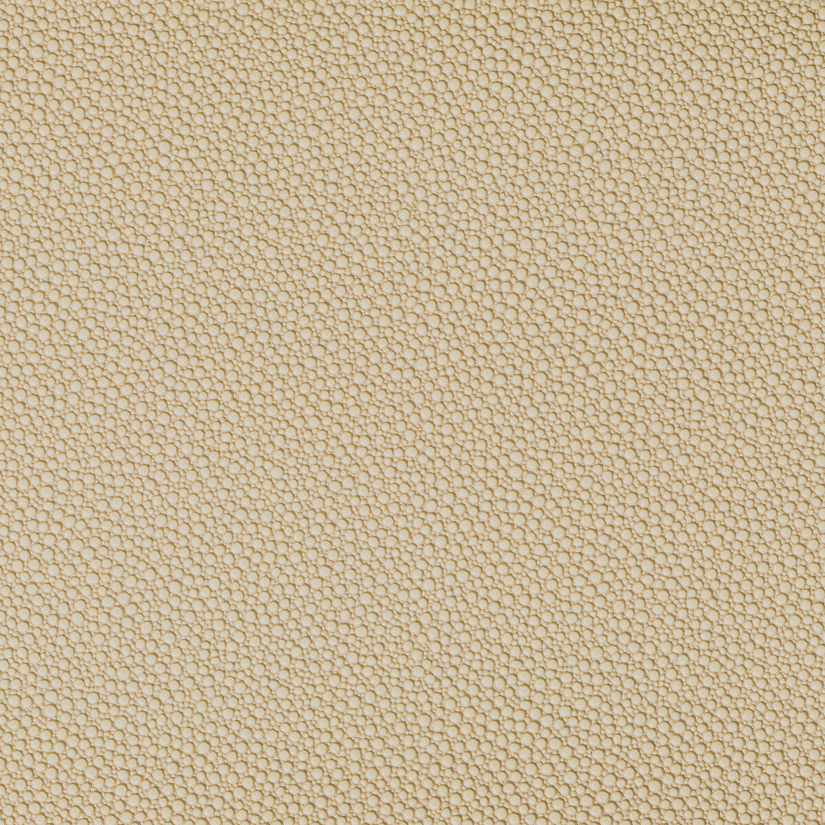 Fetch fabric in sandbar color - pattern FETCH.1606.0 - by Kravet Contract in the Foundations / Value collection