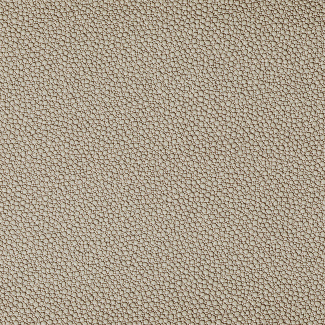 Fetch fabric in stone color - pattern FETCH.1616.0 - by Kravet Contract in the Foundations / Value collection