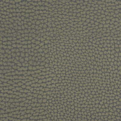 Forgetful fabric in greystone color - pattern FORGETFUL.21.0 - by Kravet Couture