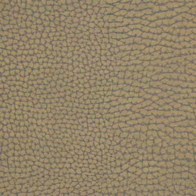 Forgetful fabric in stone color - pattern FORGETFUL.6.0 - by Kravet Couture